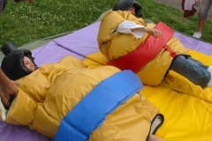 Velké sumo na pronájem