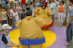 Velké sumo na pronájem