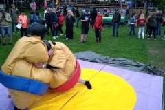 Velké sumo na pronájem